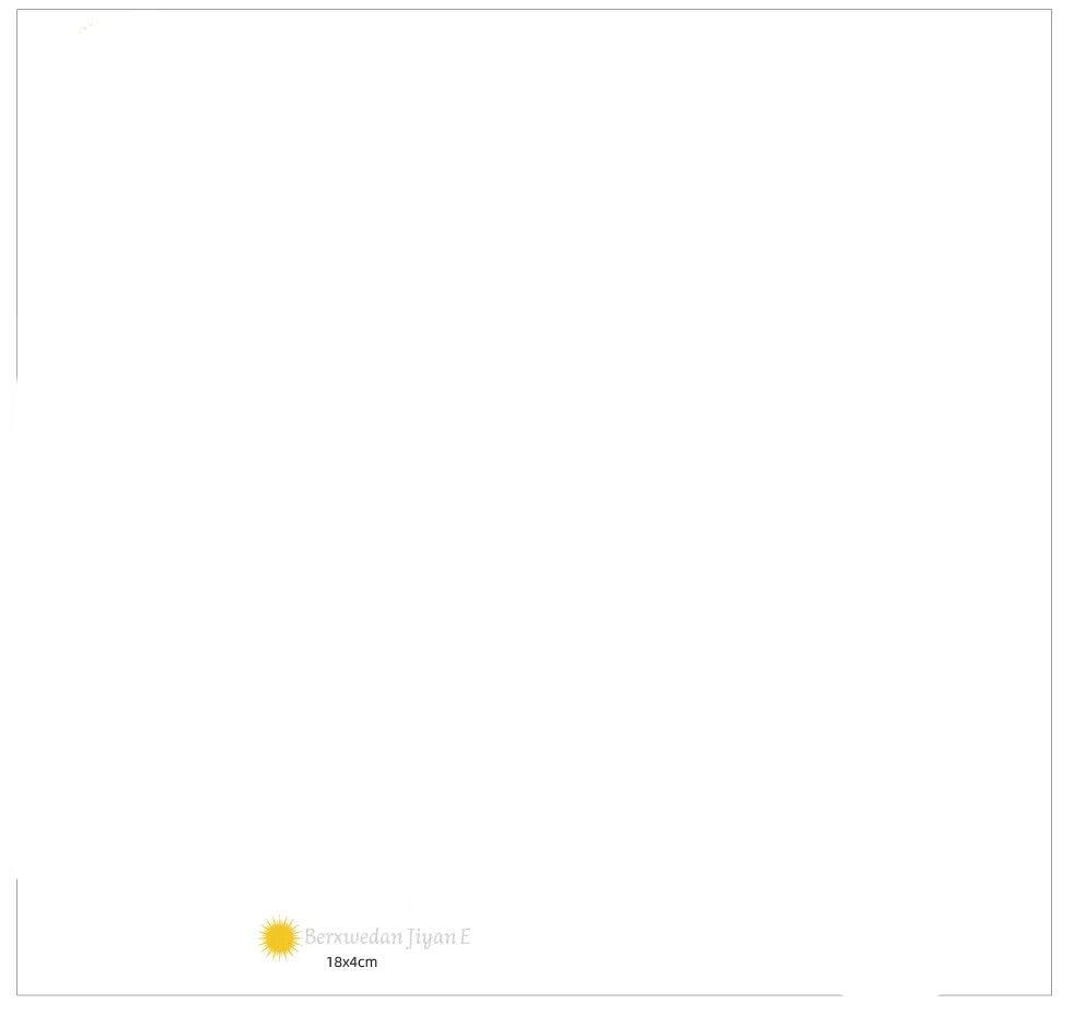 Berxwedan Jiyan E Autoaufkleber