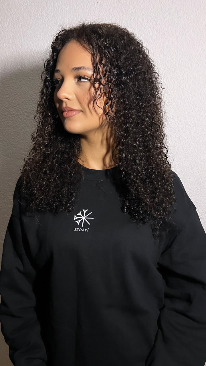 Ezdayi Sweatshirt